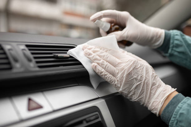 Best Air Duct Mold Removal  in Manhattan, IL